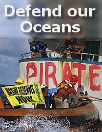 Greenpeace activists face off with pirate fishermen.